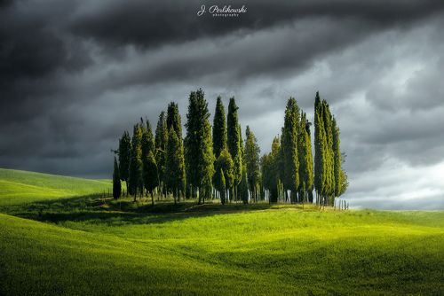Cypres hills