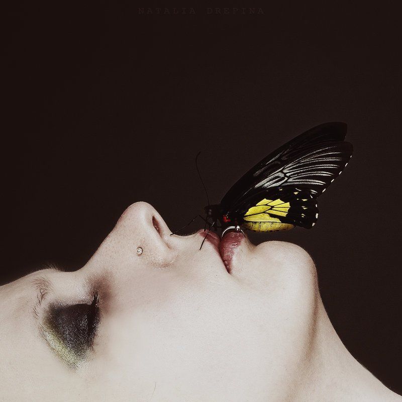 бабочка, павезе, смерть, поэзия Придет смерть, и у нее будут твои глазаphoto preview