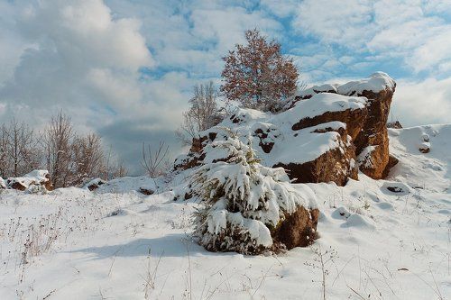 Ландшафтная студия природы