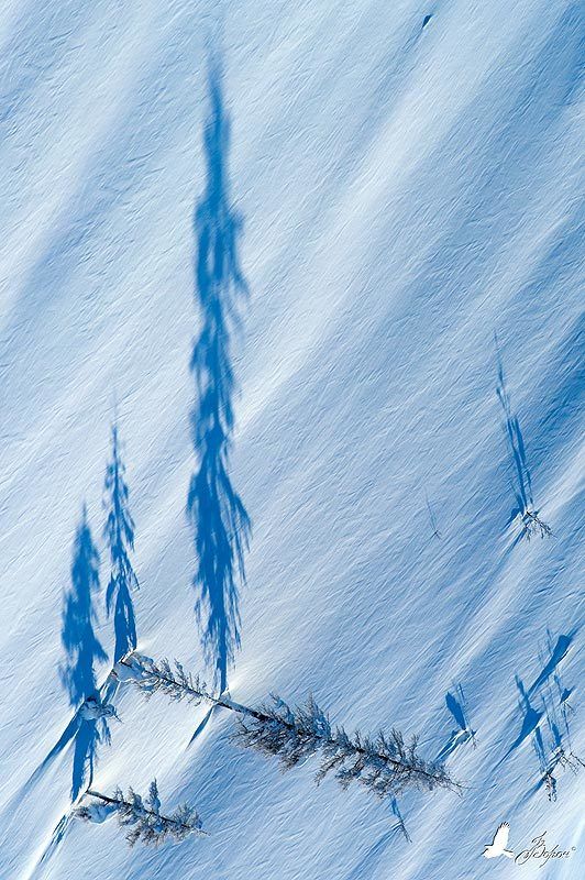 Зимнее времяphoto preview