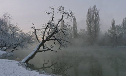 БЕЗМОЛВИЕ