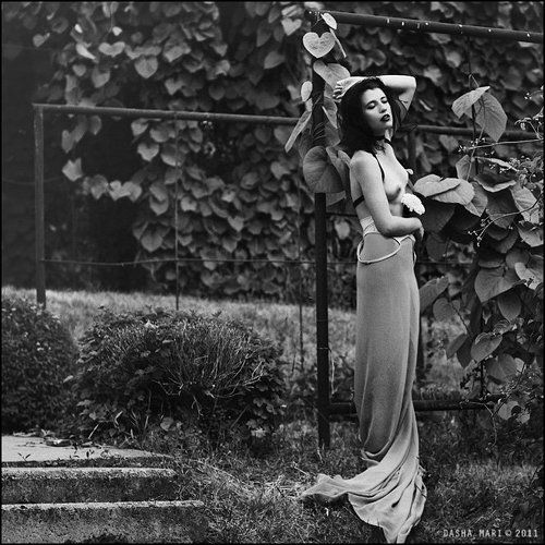 Secret garden