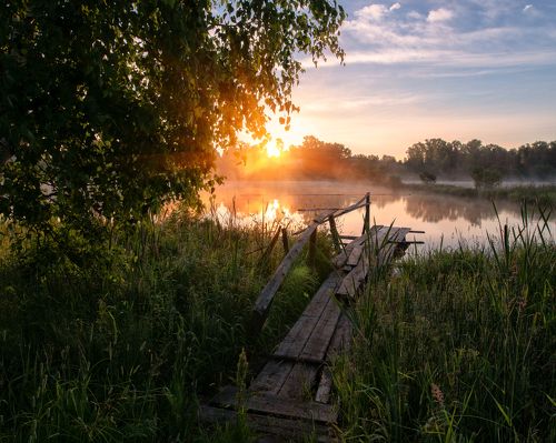 Молочно золотой рассвет