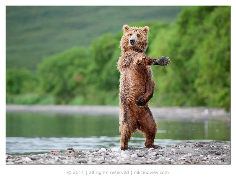 I like to move it !