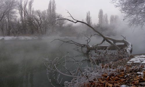 ТАМ...... В КОРОЛЕВСТВЕ КРИВЫХ ЗЕРКАЛ
