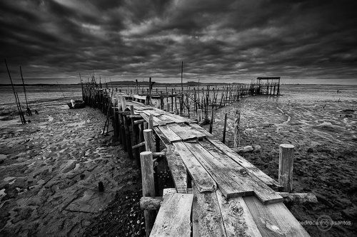 Emptiness (пустота)