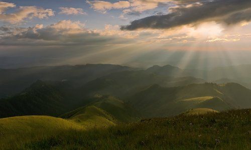 Я ЗНАЮ МЕСТА, ГДЕ РАСТЕТ КОНЦЕНТРАТ