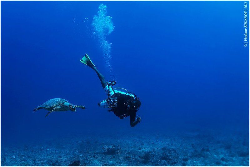 Про фотосессиюphoto preview