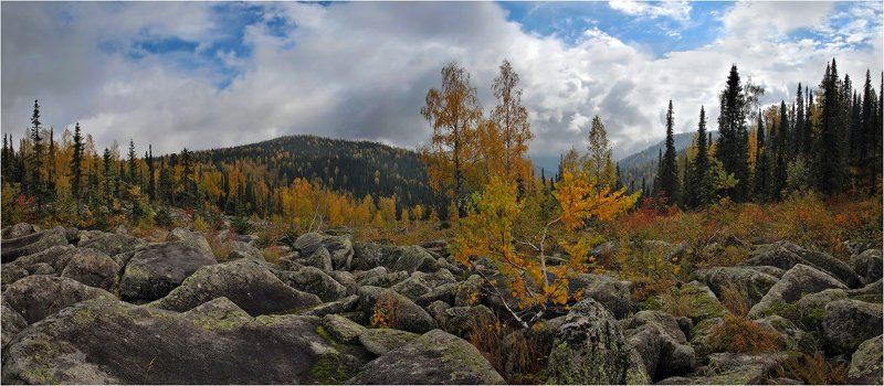 поднебесные, зубья photo preview