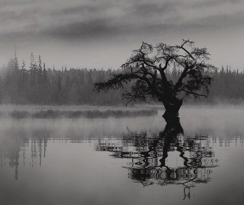 Весна