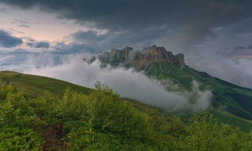 ИСТОРИЯ О ДВУХ ТРАКТОРИСТАХ