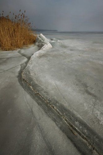 Мартовские зарисовки