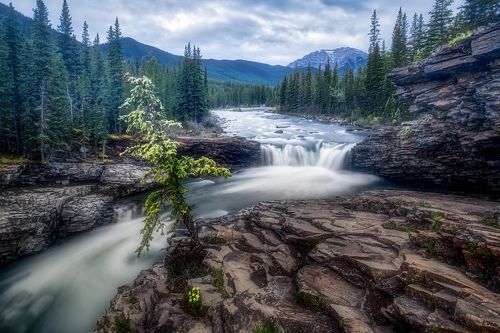 Sheep River