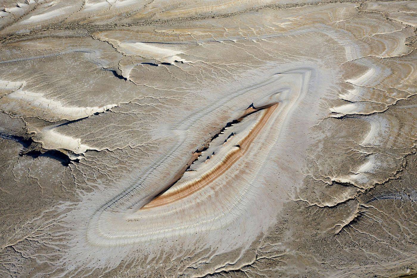 Мегаланцетник. Автор: Борис Резванцев , Борис Резванцев