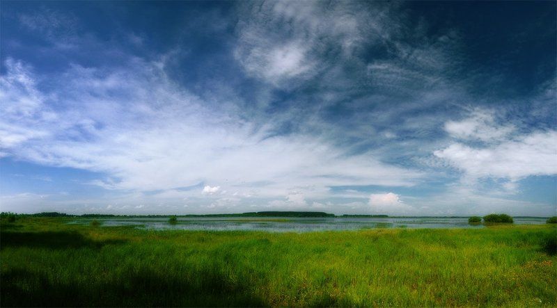 Лебединоеphoto preview