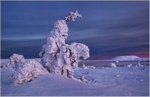 Призраки зимы