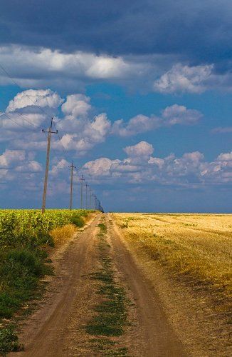 дорога в крым...