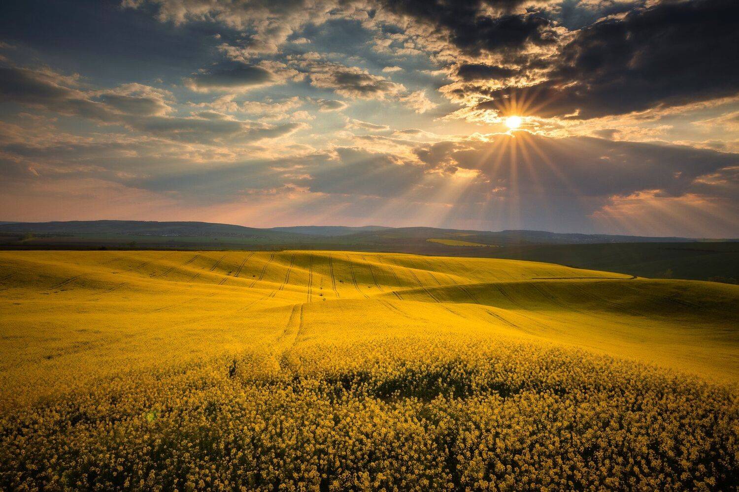 , Pawel Uchorczak