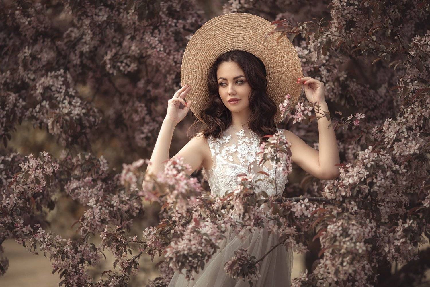 Dana. Автор: Алина Мур , Алина Мур