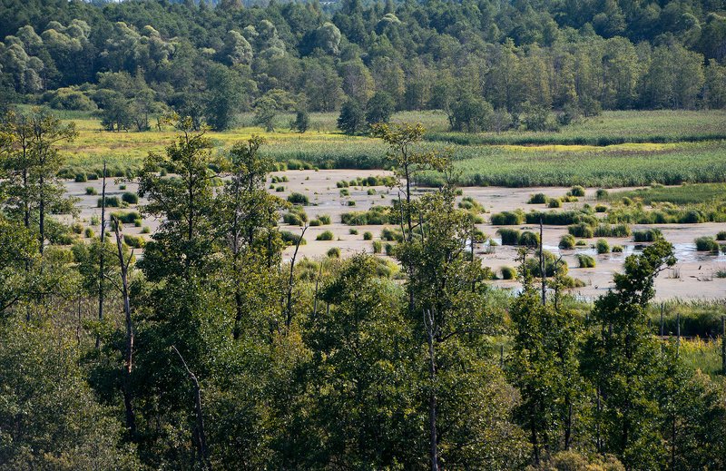 подмосковье заповедное, фотоальбом, оопт, московская область, природа, экология, фонд «верховье», русанов александр владимирович Подмосковье заповедное – кадры из альбомаphoto preview