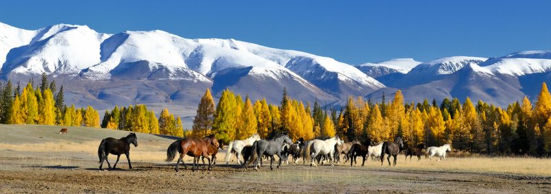 По степиphoto preview