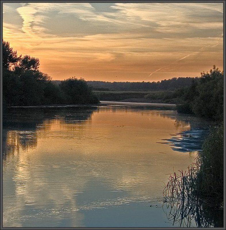 Зорькаphoto preview