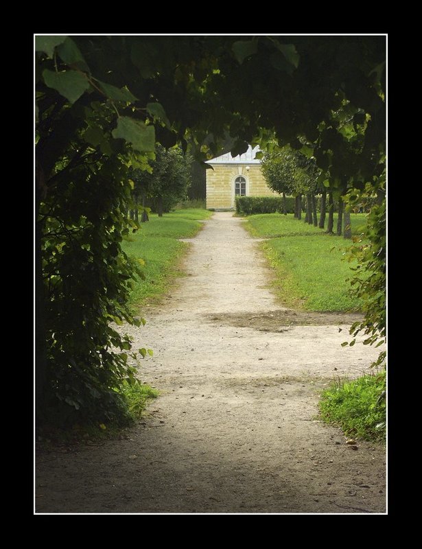 Тропинка.photo preview