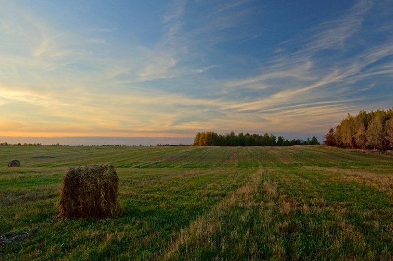 Конец сезона...photo preview