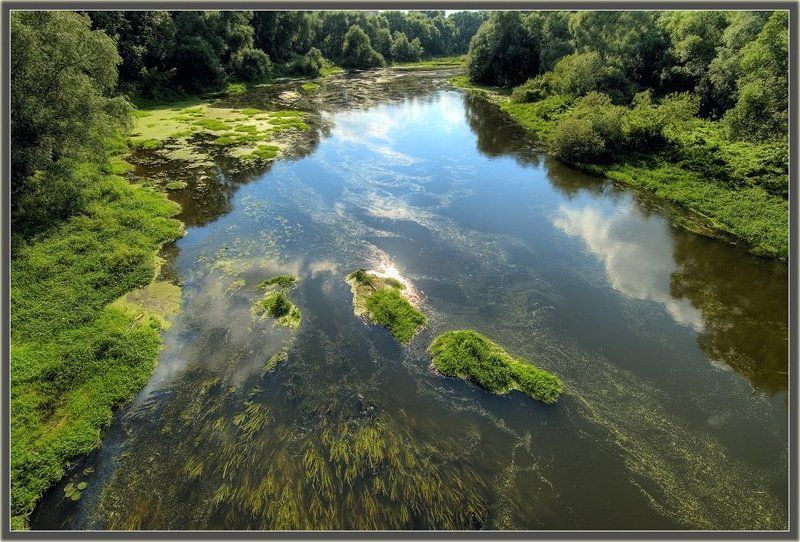 течение,река,лето Течениеphoto preview