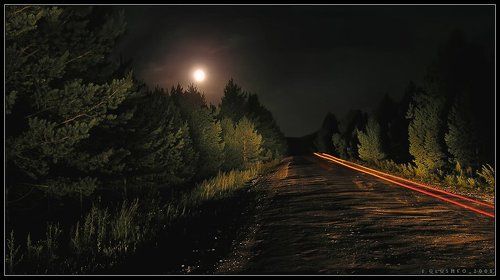 По ночной Тайге