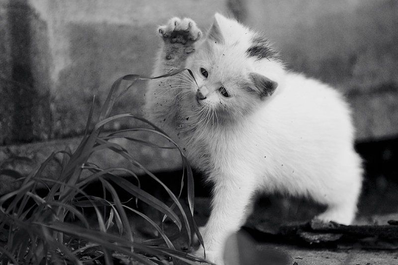 я познаю мирphoto preview