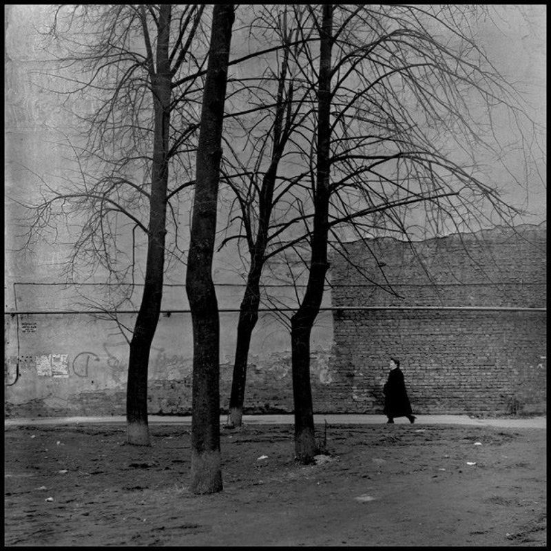 Веснаphoto preview