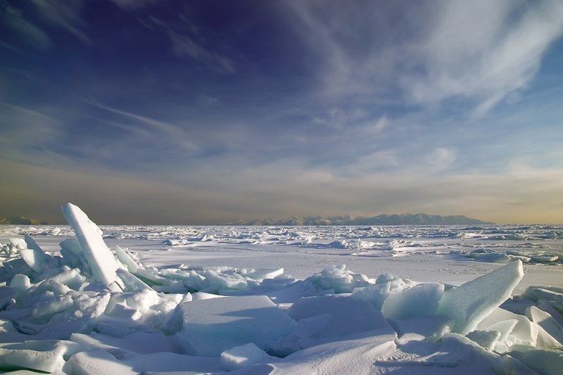 батарейная Поющие льдыphoto preview