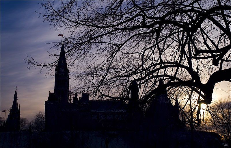 замок Вечер... Ветви...photo preview
