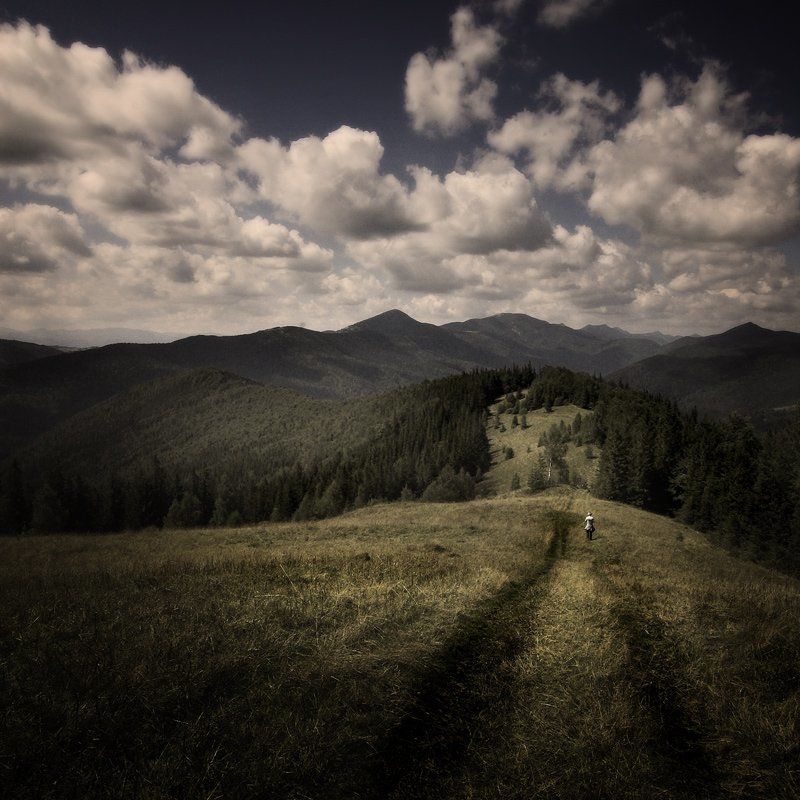 дорогу осилит идущийphoto preview