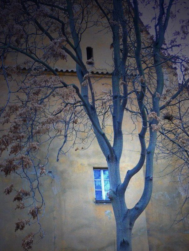 прага Тайное окошкоphoto preview