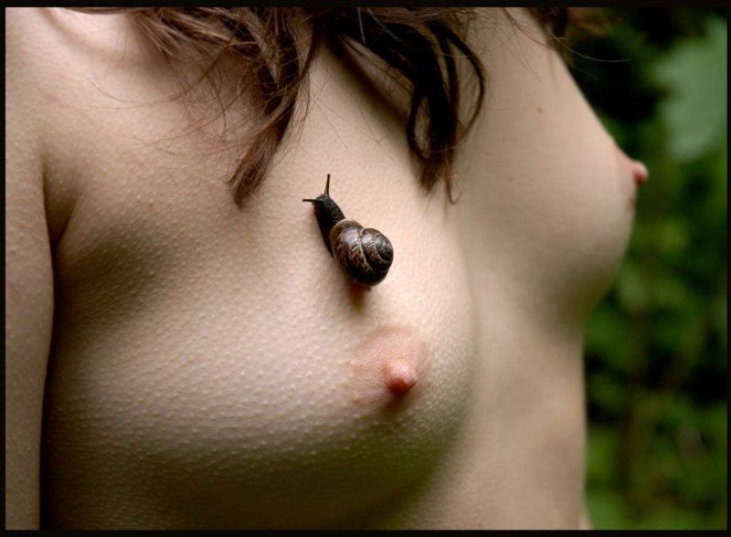 Улиткаphoto preview