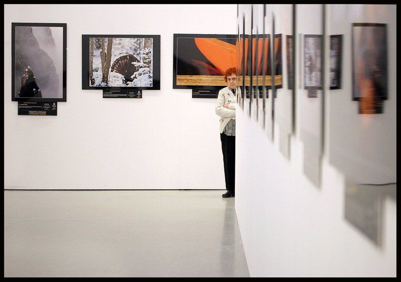 новый_манеж, золотая_черепаха - Хто такие?!photo preview