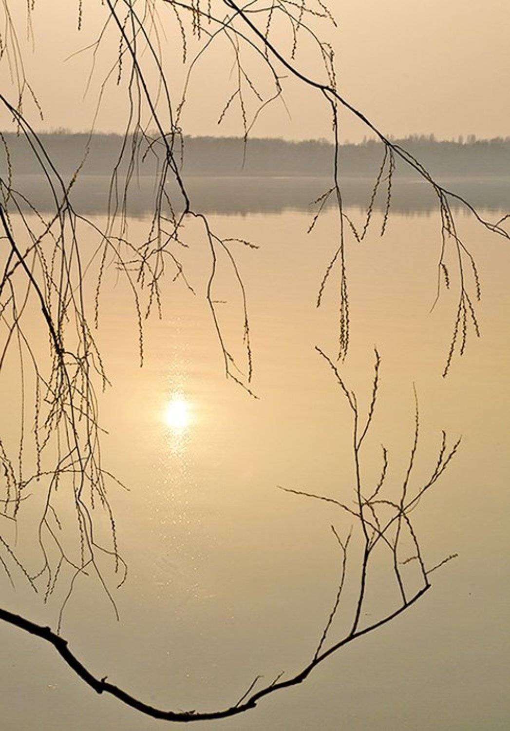 Наверно "весеннее". Автор: Salaudi , Salaudi