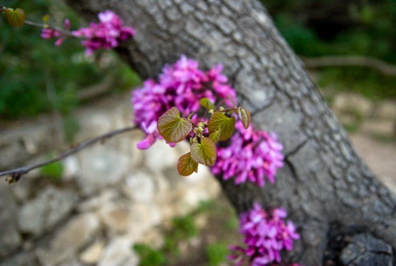 igalsc Новая жизньphoto preview