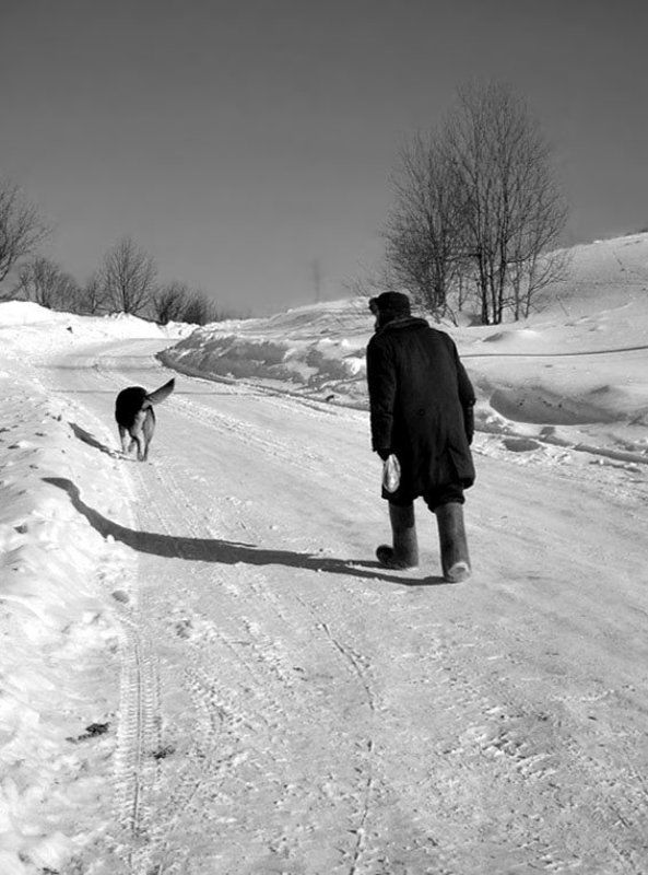 Пантелеичphoto preview