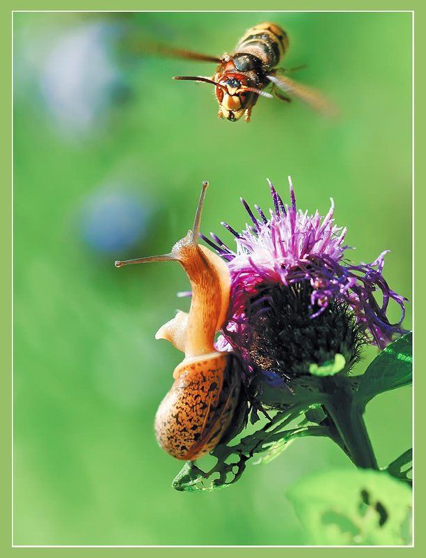 Лыж-ж-ж-жню!photo preview