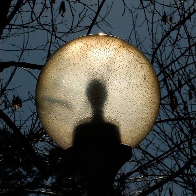 инопланетный гость Инопланетный гостьphoto preview