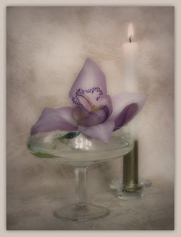 орхидея Настроенческоеphoto preview