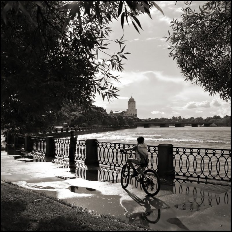 выборг после дождяphoto preview