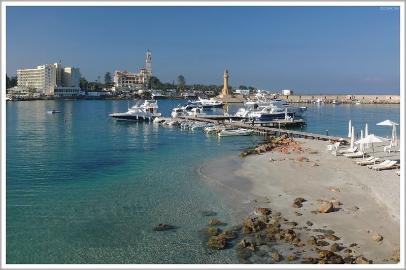 египет александрия Почти райский уголокphoto preview