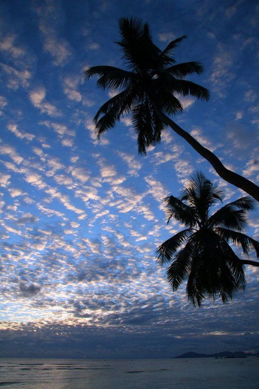 море, пальмы, природа ...photo preview