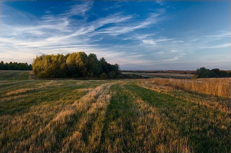 Осенняяphoto preview