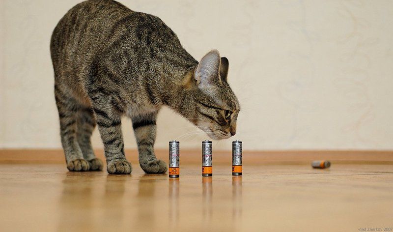 Побочный эффект теста АФphoto preview