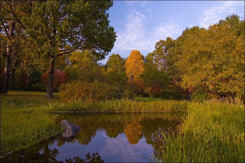 природа, весна, очень, сад, листья, деревья, зелень photo preview